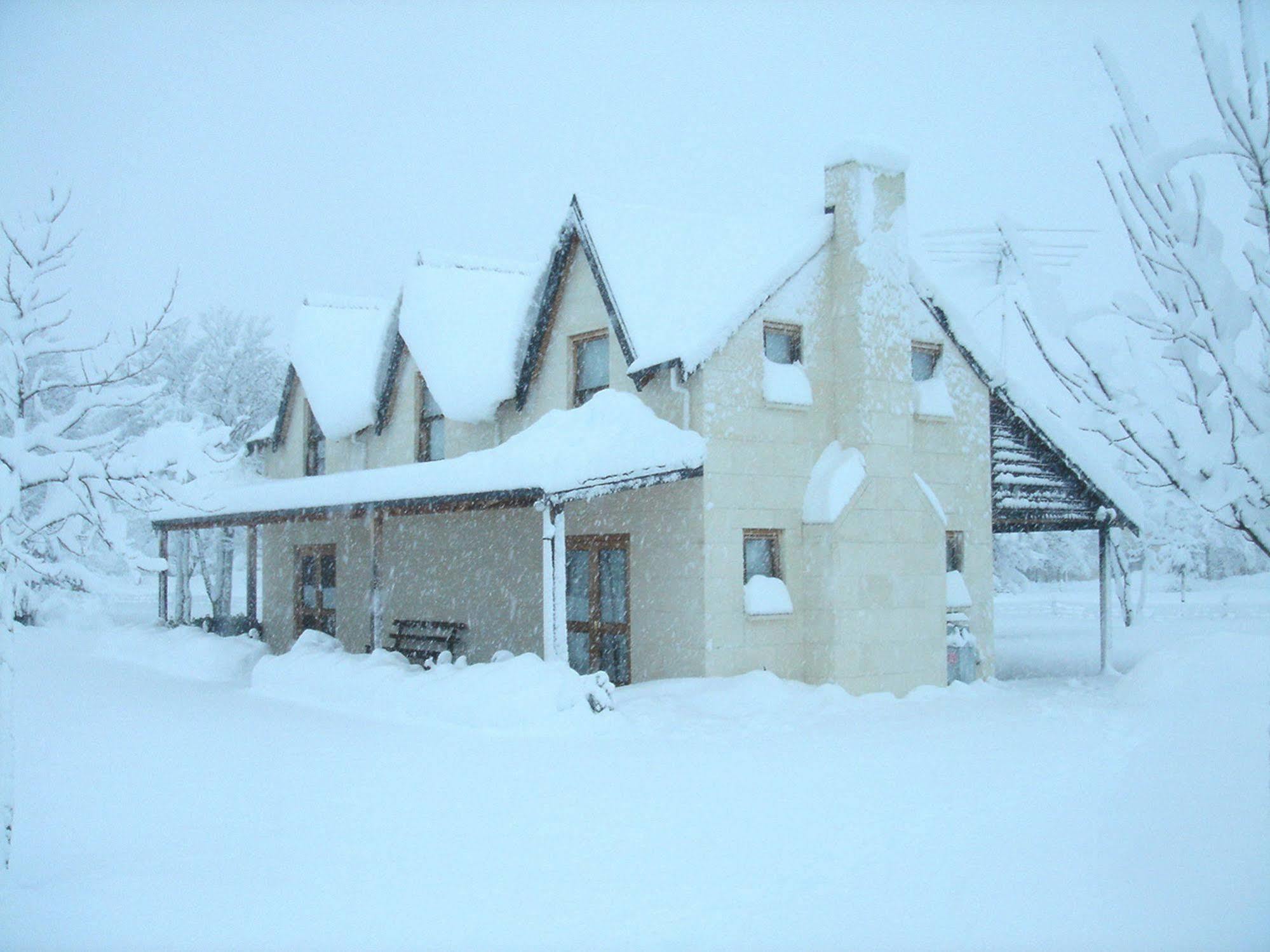 Whitestone Cottages Windwhistle Esterno foto